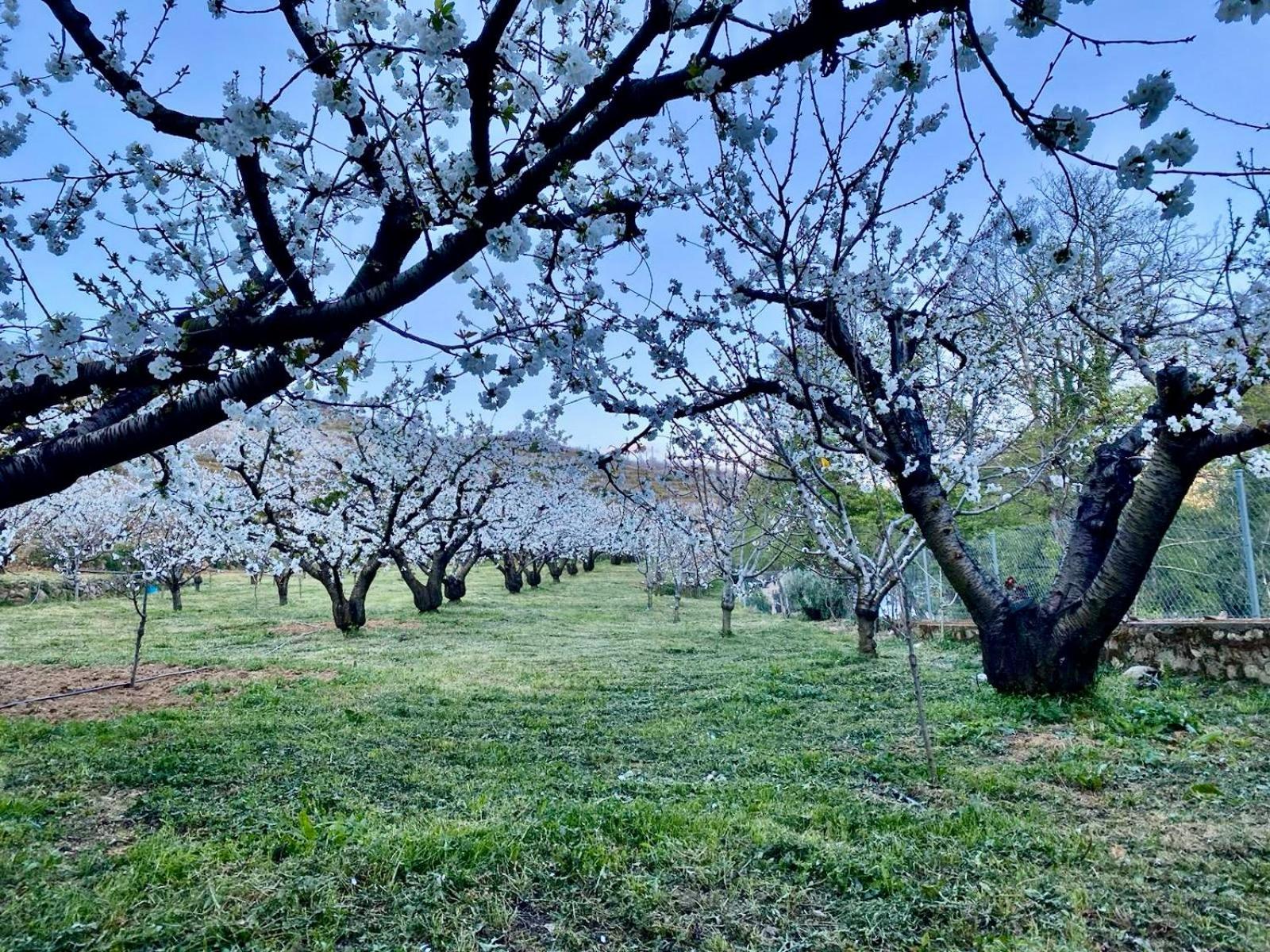 Casa Rural Valle Secreto Torremocha Esterno foto